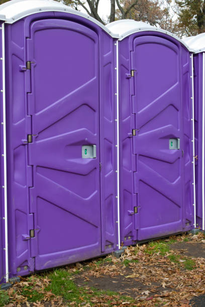 Best Eco-Friendly Portable Toilets in Laflin, PA